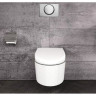 Клавиша смыва GEBERIT DELTA 115.108.00.1