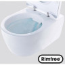 Комплект GEBERIT DUOFIX 111.300.00.5 UP320 с подвесным унитазом ICON RIMFREE F204060000 с сиденьем микролифт F574130000 111.300.00.5-20406