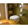 Комплект GEBERIT DUOFIX 458.124.21.1 UP100 с подвесным унитазом KOLO IDOL M1310000U с крышкой-сиденьем 458.124.21.10