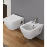 Комплект GEBERIT DUOFIX UP100 458.125.21.1 с подвесным унитазом RENOVA PLAN RIMFREE 500.378.01.1 с сиденьем микролифт 500.691.01.1 458.125.21.117