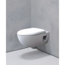 Комплект инсталляции GEBERIT DUOFIX 458.128.21.1 с клавишей смыва DELTA51 хром подвесным унитазом RENOVA PREMIUM безободковый 203070000 и крышкой-сиденьем микролифт RENOVA 573025000 458.128.21.1-20307