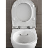 Комплект инсталляция GEBERIT DUOFIX SIGMA 500.301.KJ.A с подвесным унитазом ACANTO с сиденьем микролифт и клавишей